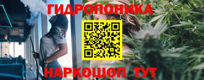 гидропоника Кинель