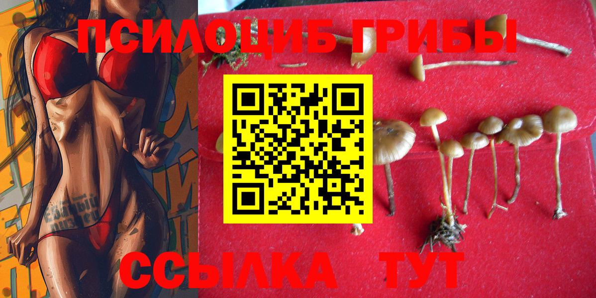 Галлюциногенные грибы мухоморы Кропоткин