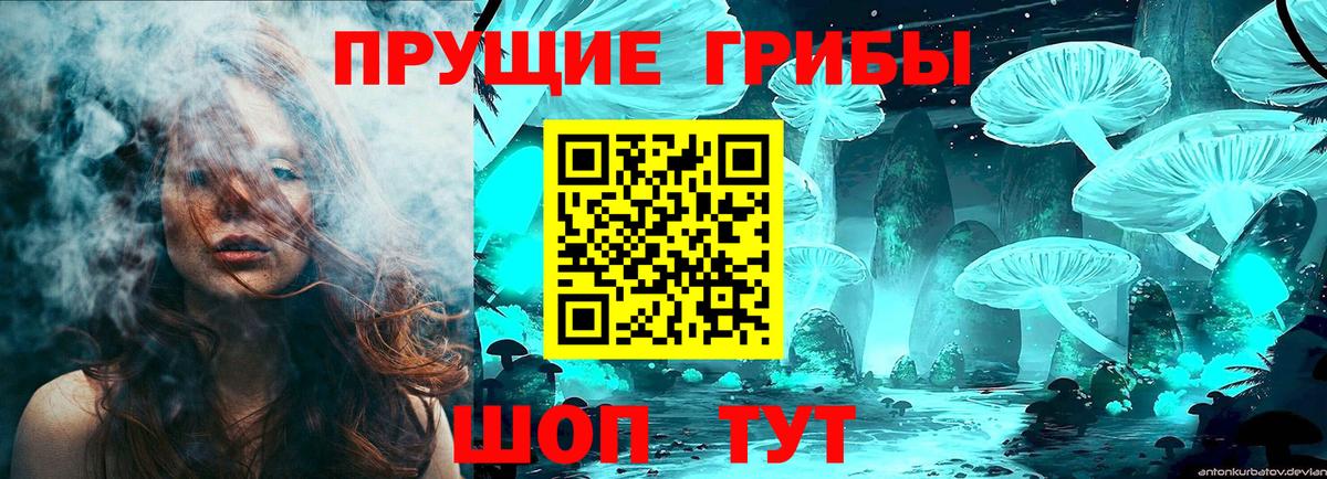 Галлюциногенные грибы MAGIC MUSHROOMS  Галлюциногенные грибы Psilocybe  Вход с VPN  Кропоткин 